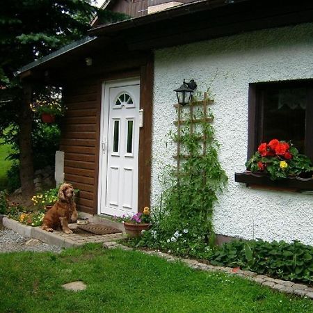 Ferienhaus In Kurort Oberwiesenthal Mit Grill Bagian luar foto