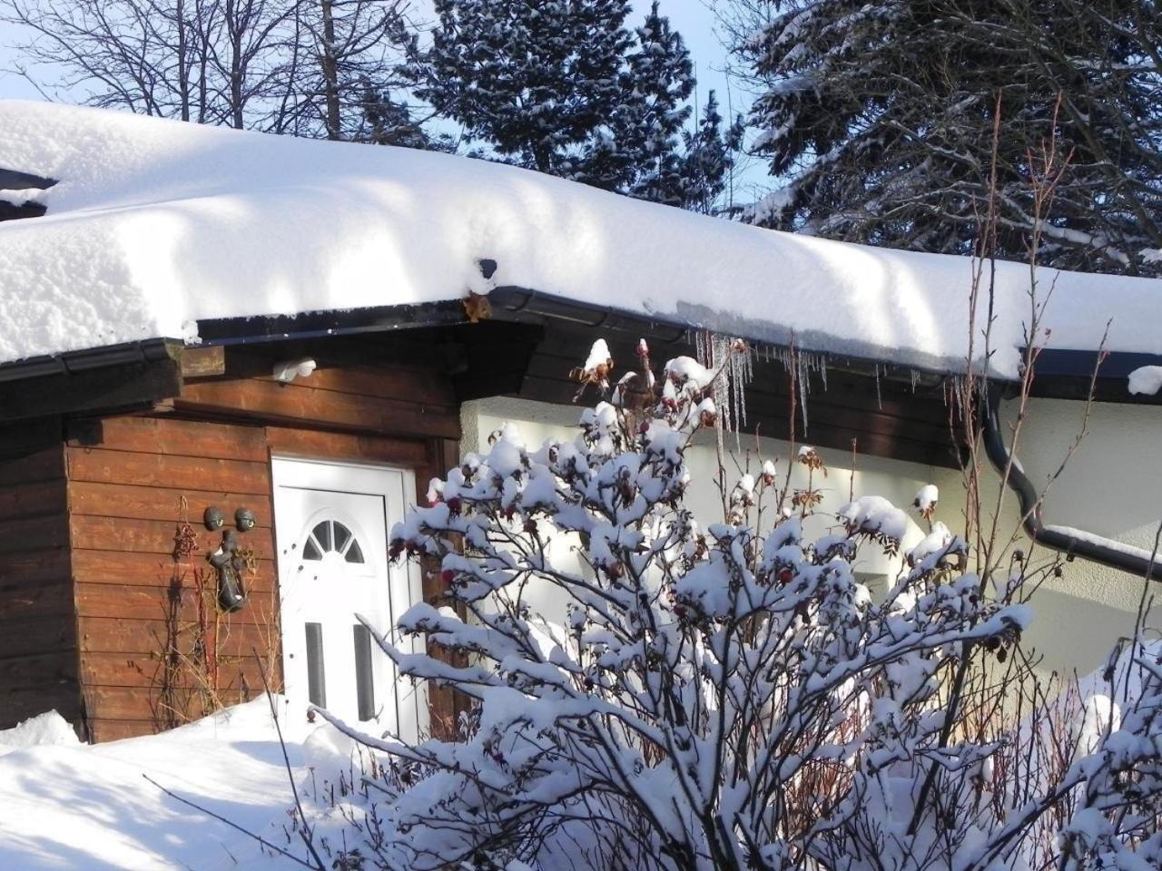 Ferienhaus In Kurort Oberwiesenthal Mit Grill Bagian luar foto