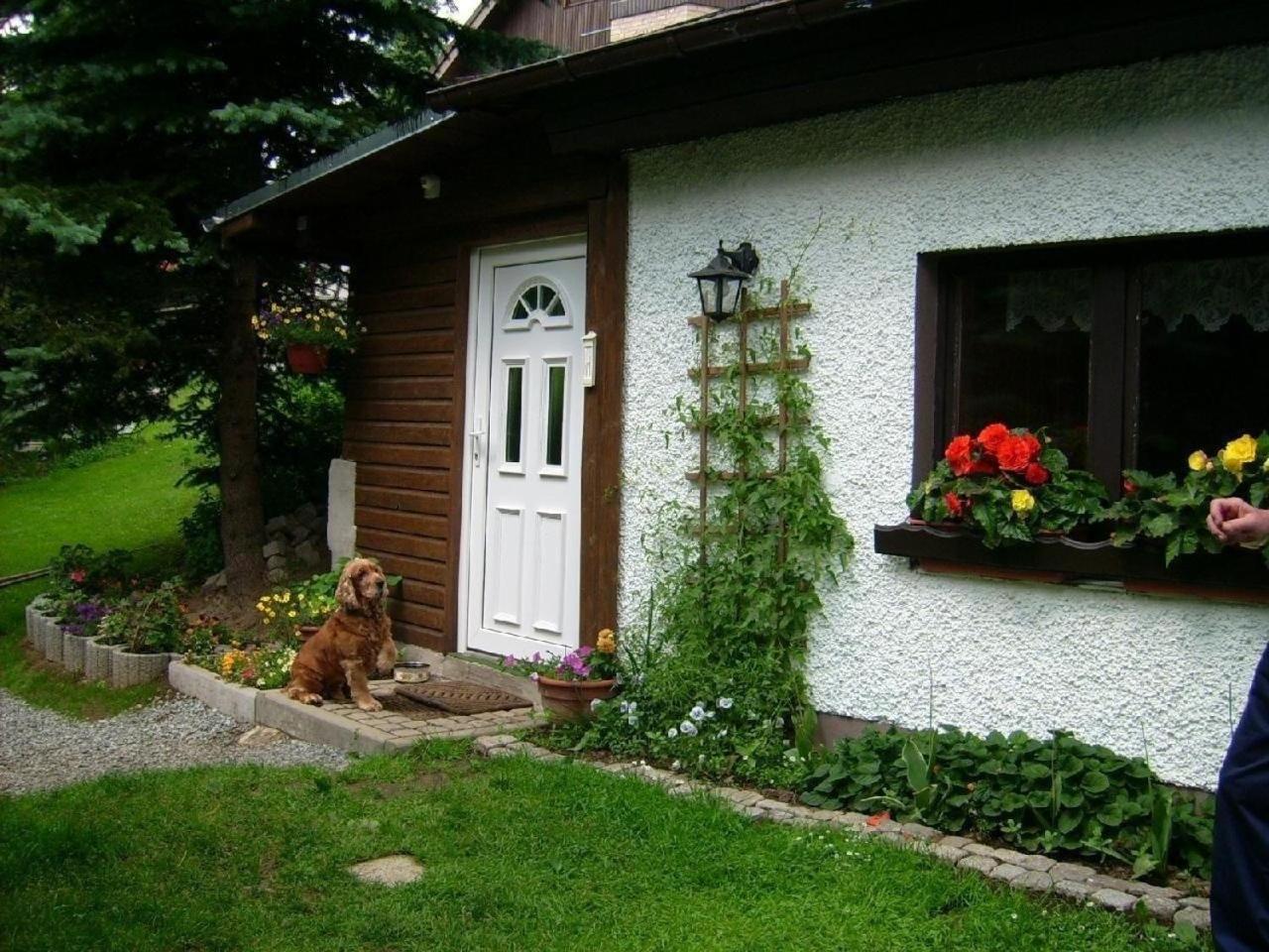 Ferienhaus In Kurort Oberwiesenthal Mit Grill Bagian luar foto